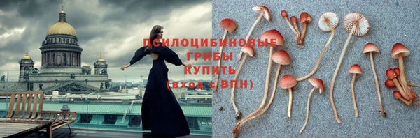 PSILOCYBIN Баксан