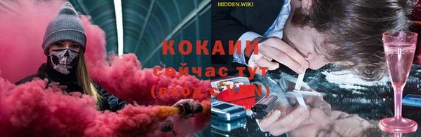 PSILOCYBIN Баксан